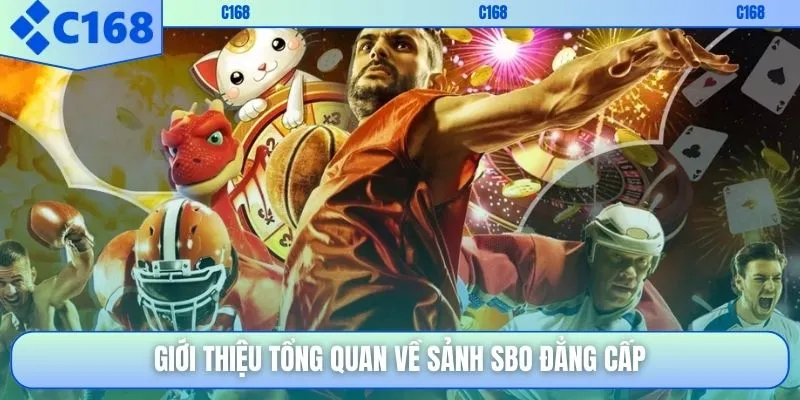 Giới thiệu tổng quan về sảnh SBO đẳng cấp