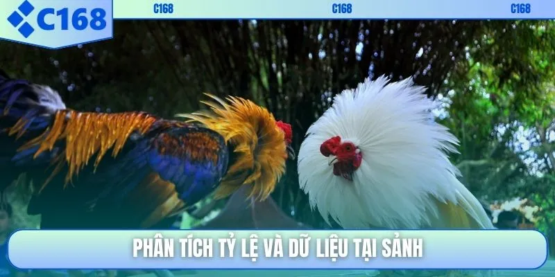 Phân tích tỷ lệ và dữ liệu tại sảnh